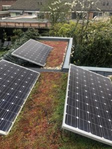 zonnepanelen op een sedumdak behalen meer rendement. een van de voordelen van groene daken