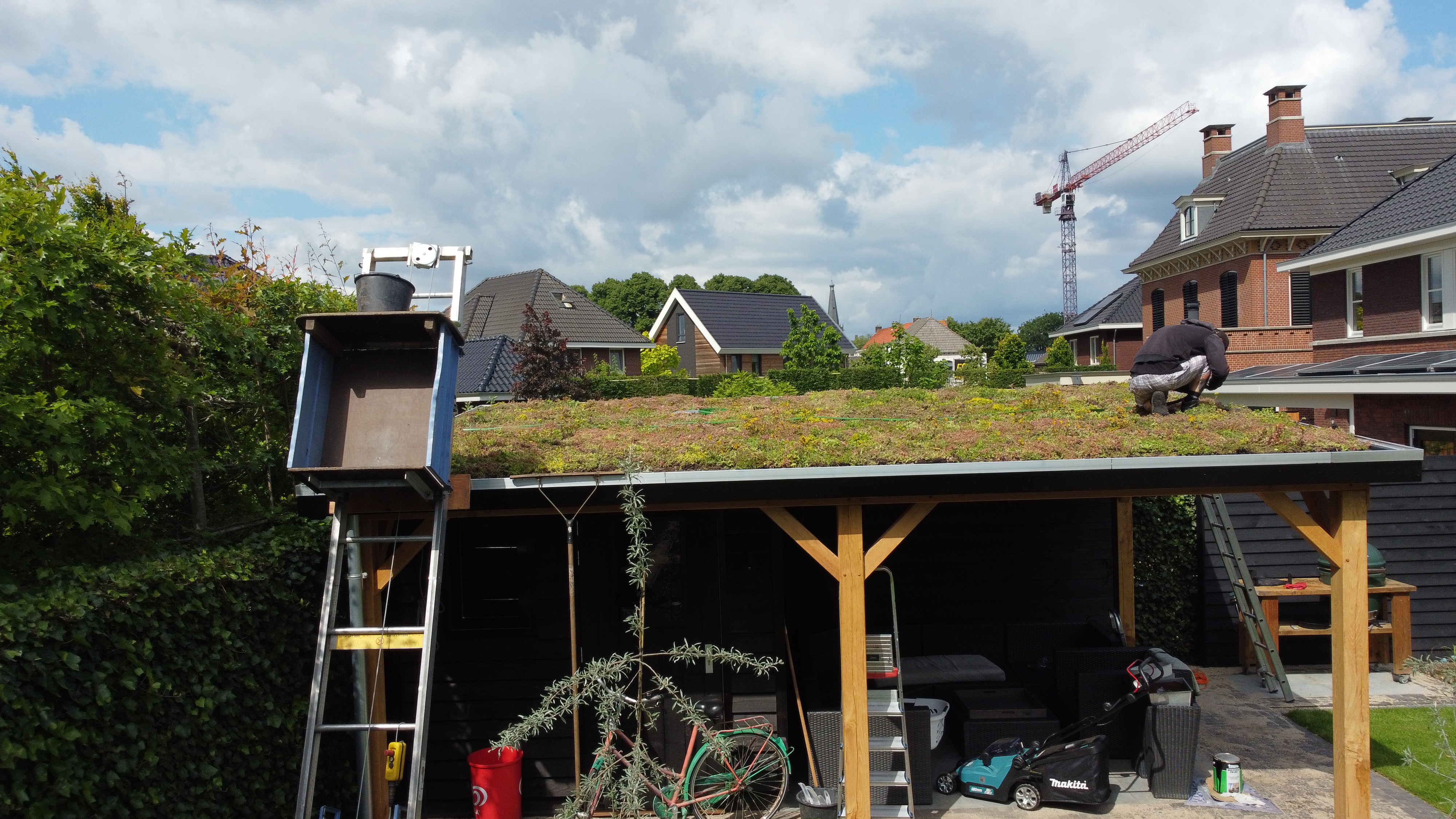 Subsidie groene daken in gemeente Dronten