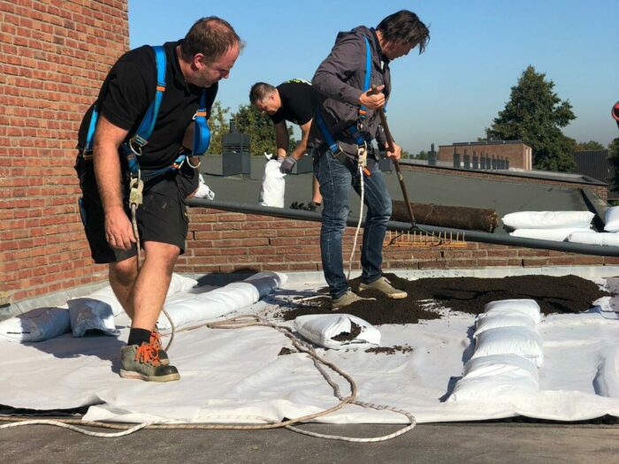 sedumdak in aanleg bij SBS 6, de grote tuinverbouwing