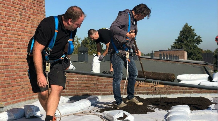 onze passie & werkwijze foto_11zon