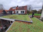 Lichtgewicht sedumdak pakket PLAT - Afbeelding 2
