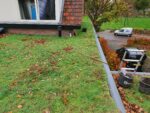 Lichtgewicht sedumdak pakket PLAT - Afbeelding 3