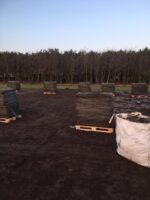 Sedummixmat (ca 1,15 m2 per stuk) - Afbeelding 2