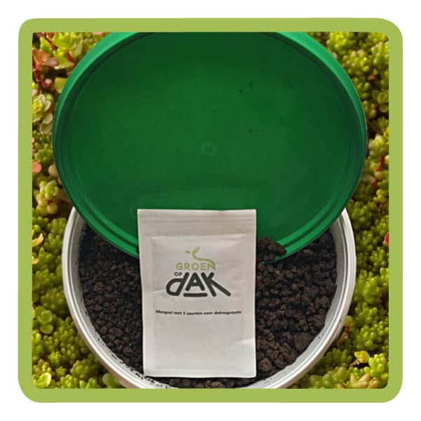 webshop-fotos19.jpg Sedumdak Wildebloemenzaden - Afbeelding 1