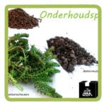Onderhoudspakket sedumdak - Tijdelijk niet leverbaar