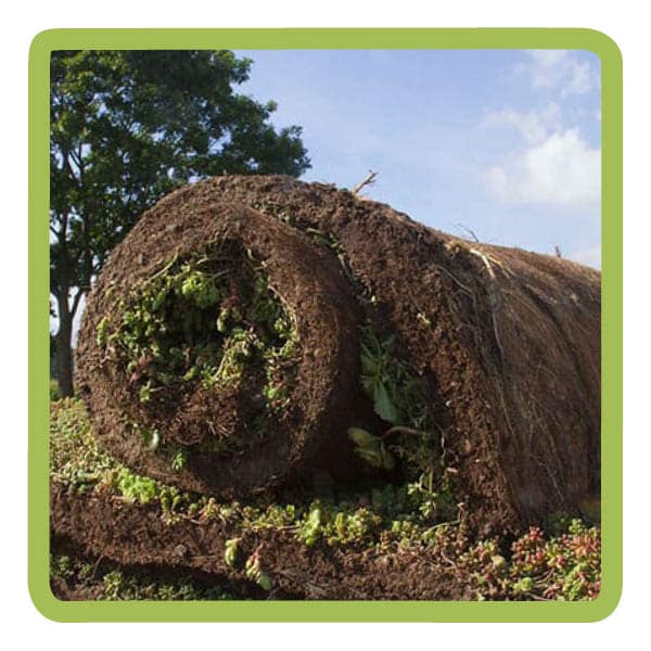 webshop-fotos6.jpg Sedummixmat (ca 1,15 m2 per stuk) - Afbeelding 1