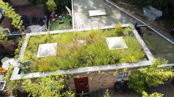 Groendak met wateropslag